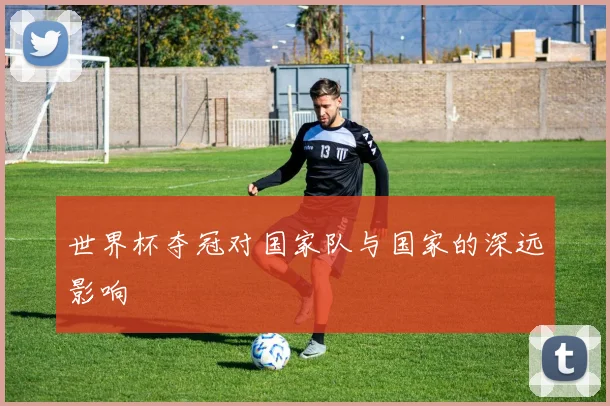 世界杯夺冠对国家队与国家的深远影响