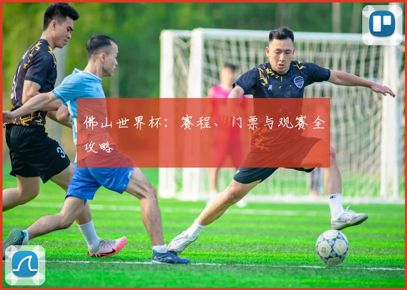 佛山世界杯：赛程、门票与观赛全攻略